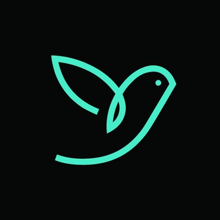 BirdTravel.ru
