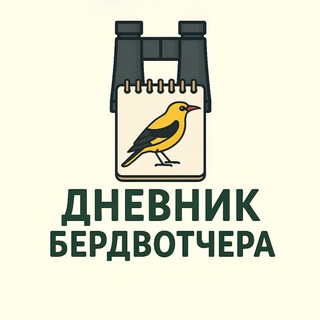 Дневник бердвотчера