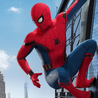Биржа заказчиков | Spider