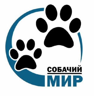 dog_world_vvo