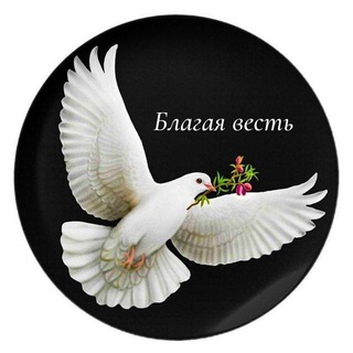 ☦️ БЛАГАЯ ВЕСТЬ. Школа Православия.