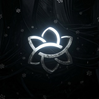 Bloom.net