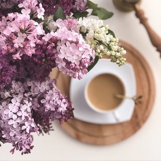 🌸BLOOMING HOME 🌸