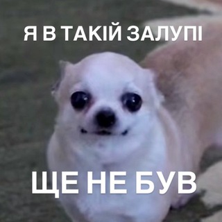ЭКСТРЕМАЛЬНЫЙ РАШН ФЭНДОМ ПО БЛУИ