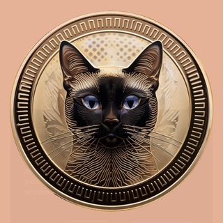 КРИПТО ЧАТ 🪙
