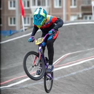 319BMX