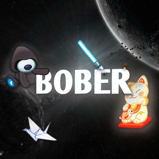 NFT bober