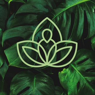 Body&Soul💚