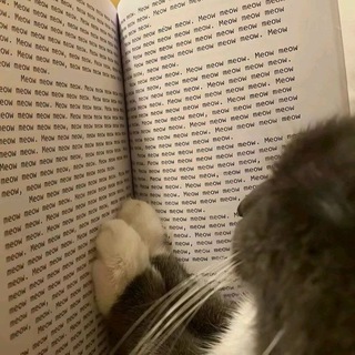 Мысли книжной чучундры