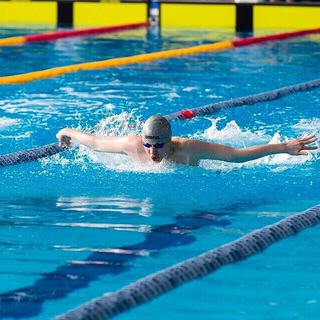 SwimSport: Море знаний о плавании