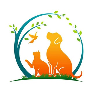 Бравекто💊/Симпарика/Animal Healer