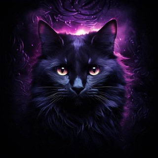 🌈BredoCat