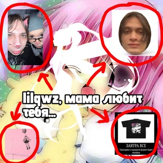лилквиз/lilqwz