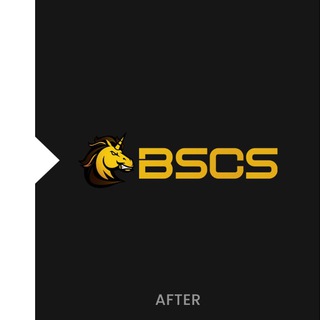 old BSCS group