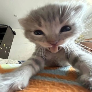 что такое