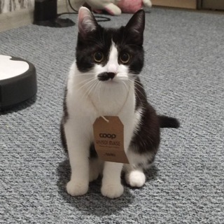 Буба🐈‍⬛