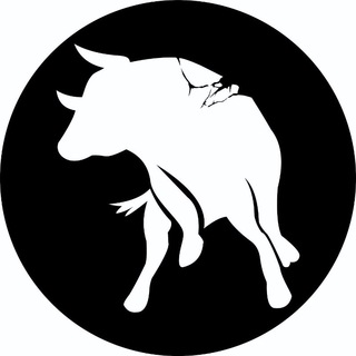 BULL GYM