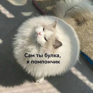 Булочка с корицей