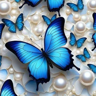 Корпорация актива "Butterfly" 🦋