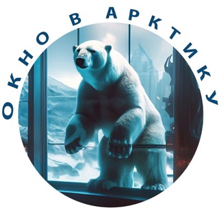 Окно в Арктику ❄️