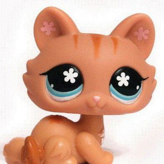 candy0w0kitten