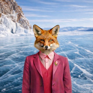CANDY FOX | Куда сходить в Иркутске | Места | Обзоры