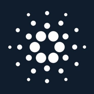 Cardano Report to Admin