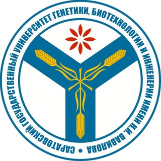 Центр карьеры Вавиловского университета