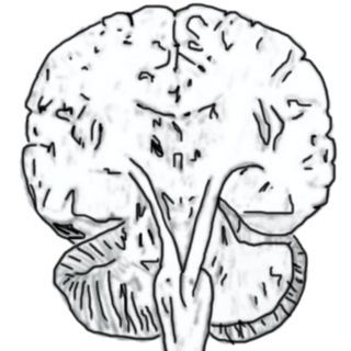 Cartoon Poems