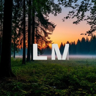 Стенка LM