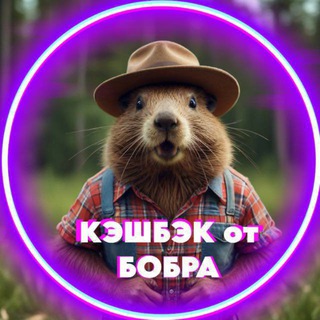 🦫 КЭШБЭК от БОБРА | РАЗДАЧА ТОВАРОВ | ТОВАРЫ ЗА ОТЗЫВ | КЭШБЭК ЗА ОТЗЫВ | WB | WILDBERRIES ТОВАРЫ |