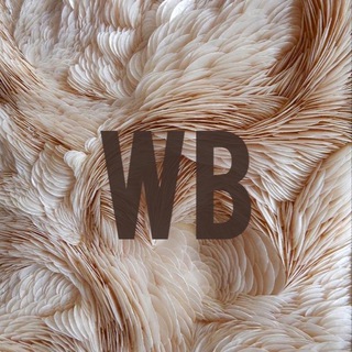 WB кэш