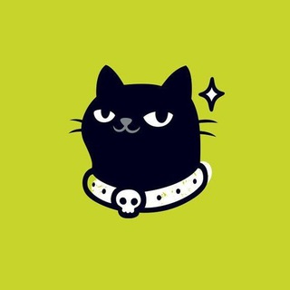 Кот лайфхакер