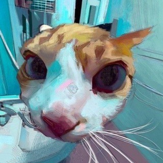 котячий шитпост
