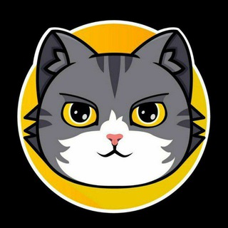 Found better gem then Catcoin!