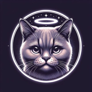 Котизм