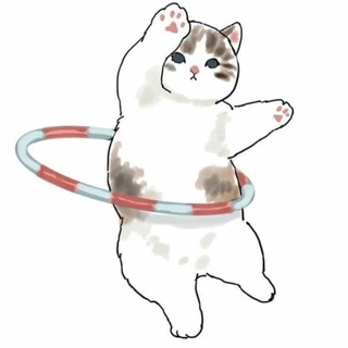 Cat In кружочке