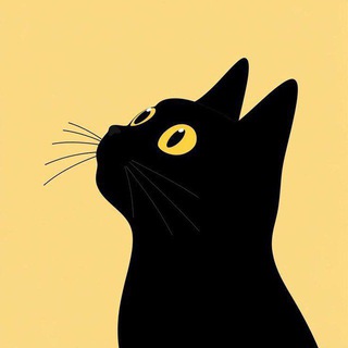Кото|Логия