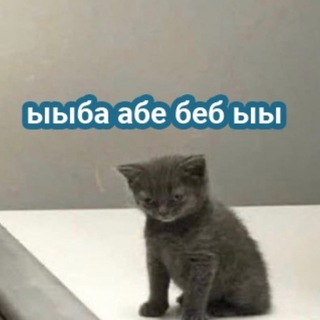 мысли котана