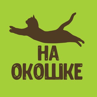 Кошка на окошке catsafety