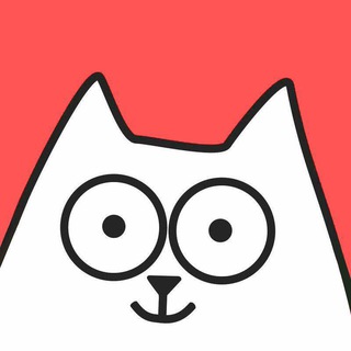 Котики