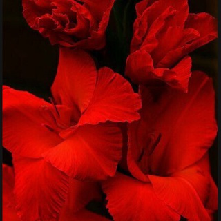 О 🥀СОЗНАНИЕ РЕАЛЬНОСТИ