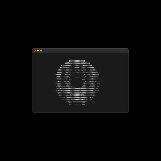 cd ./niumicto
