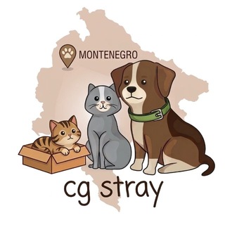 Зооволонтеры Черногории_CG Stray