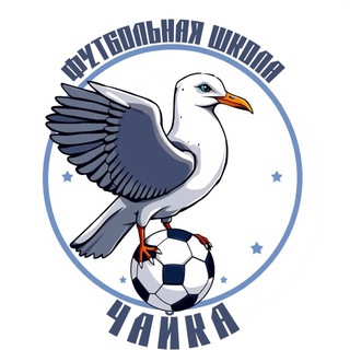 Футбольная школа «Чайка» г.о. Чехов