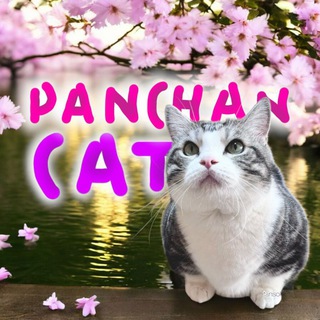 Panchan КЛГ🌷