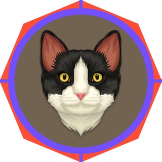 Кошачий чат 😻