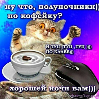 Чатонавты