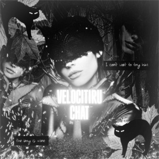 VELOCITIRU {Chat}