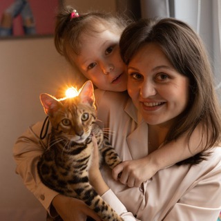 2ЧЧ